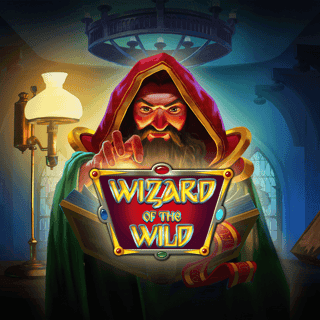 Wizard of the Wild game thumbnail